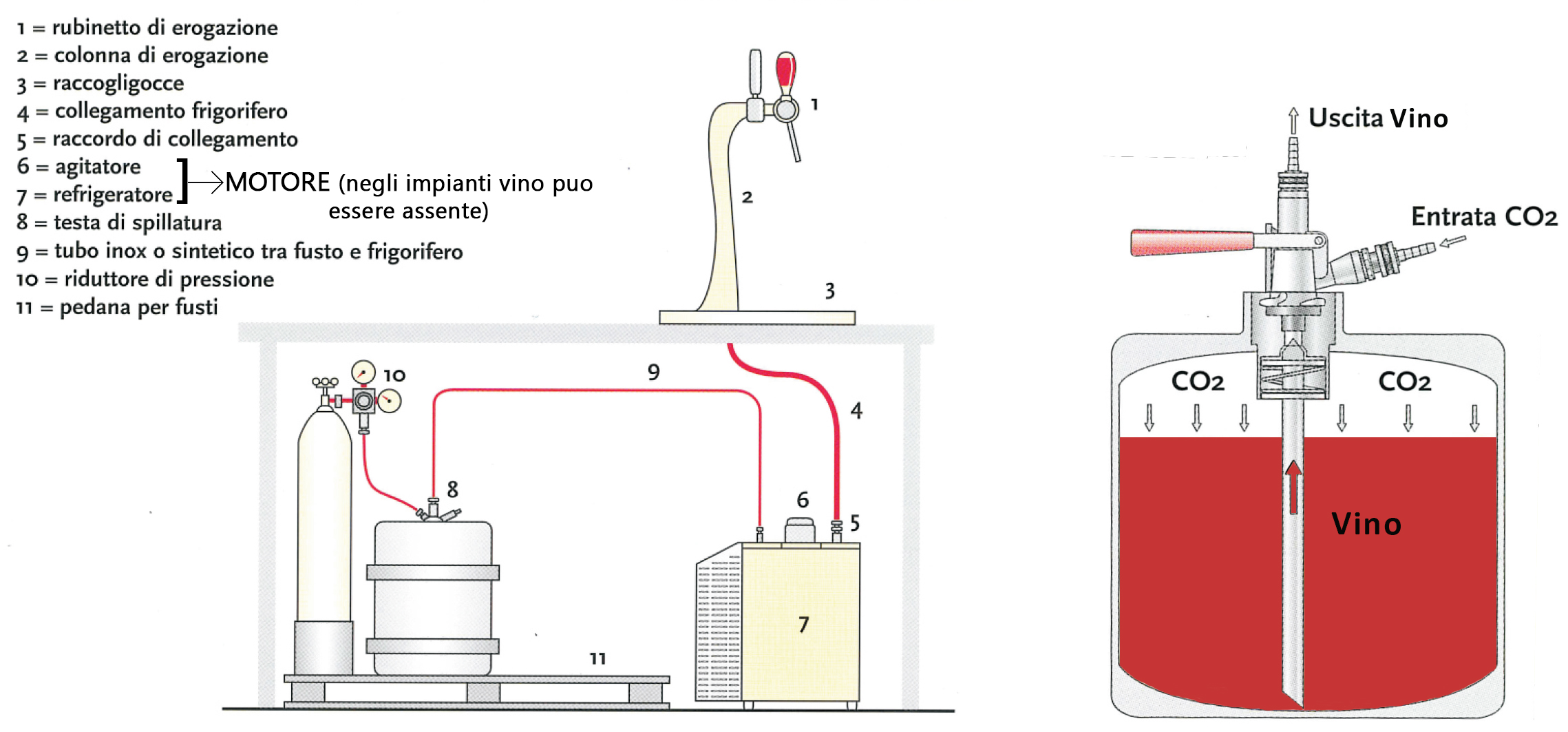 schema-spillatura-vino.jpg